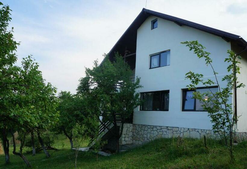 ペンション Casa Paltinu