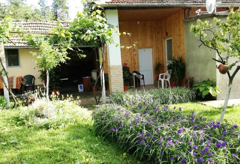 Пансион Divna Guest House