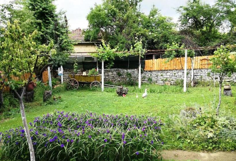 Пансион Divna Guest House