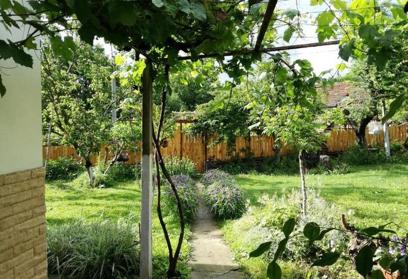 Пансион Divna Guest House