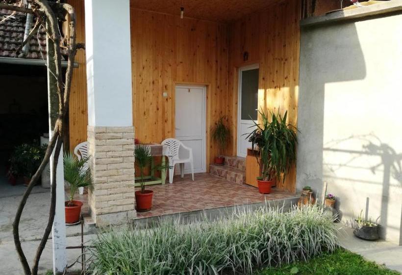 Пансион Divna Guest House