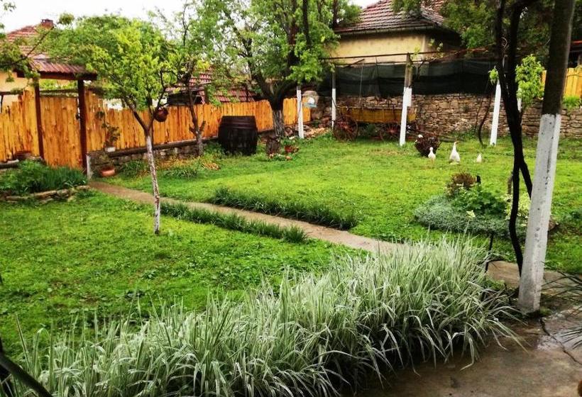 Пансион Divna Guest House