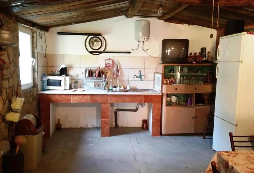 Пансион Divna Guest House