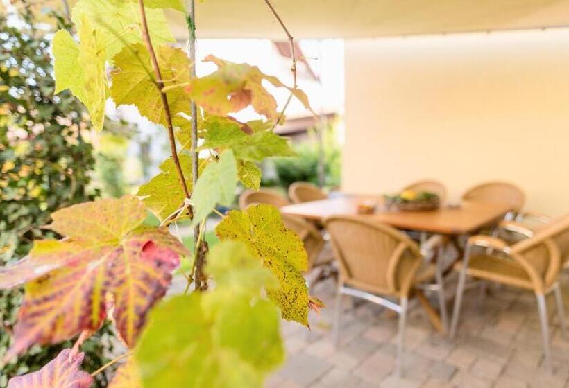 Пансион Domizil Nunn