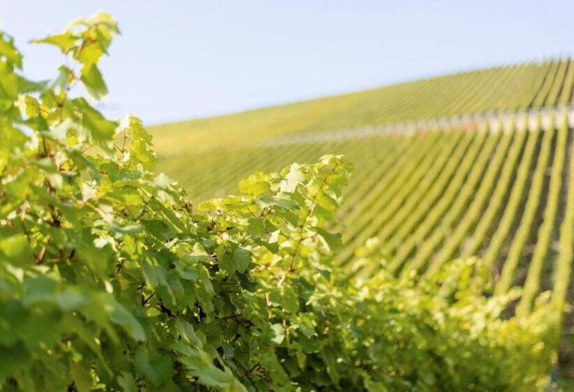 Пансион Domizil Nunn