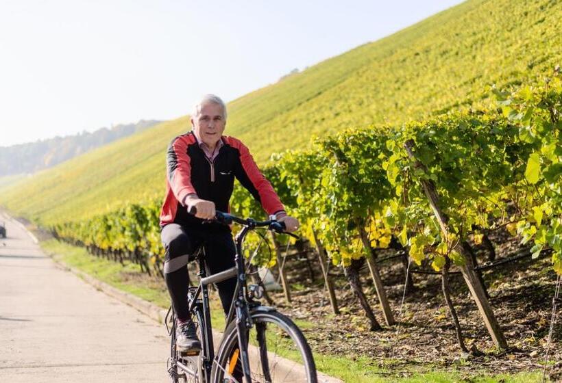 Пансион Domizil Nunn