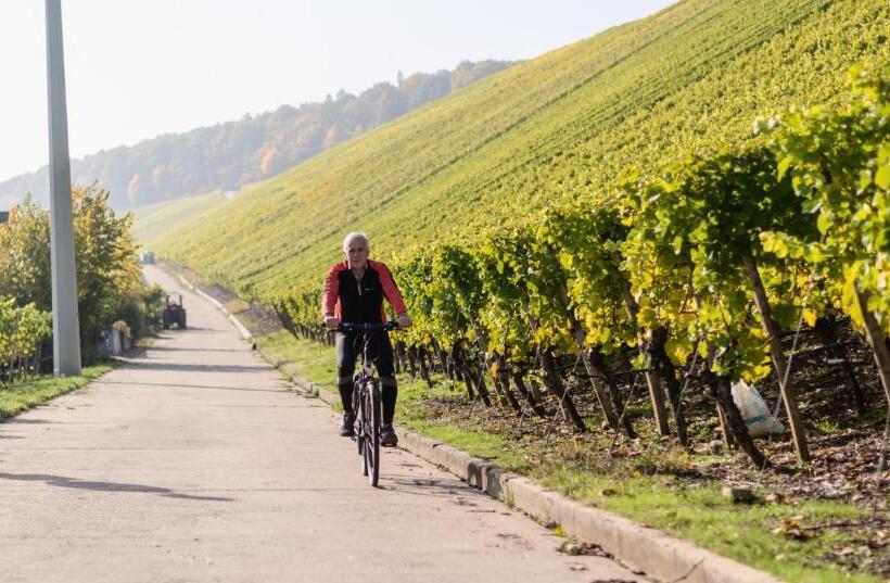 Пансион Domizil Nunn