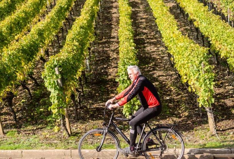 Пансион Domizil Nunn