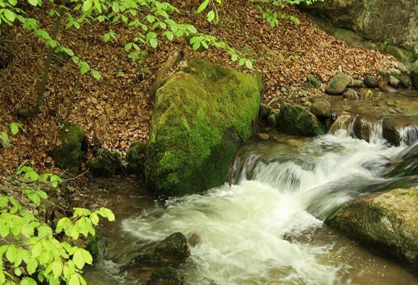 بنسيون Family Hotel Valchanovata Kashta