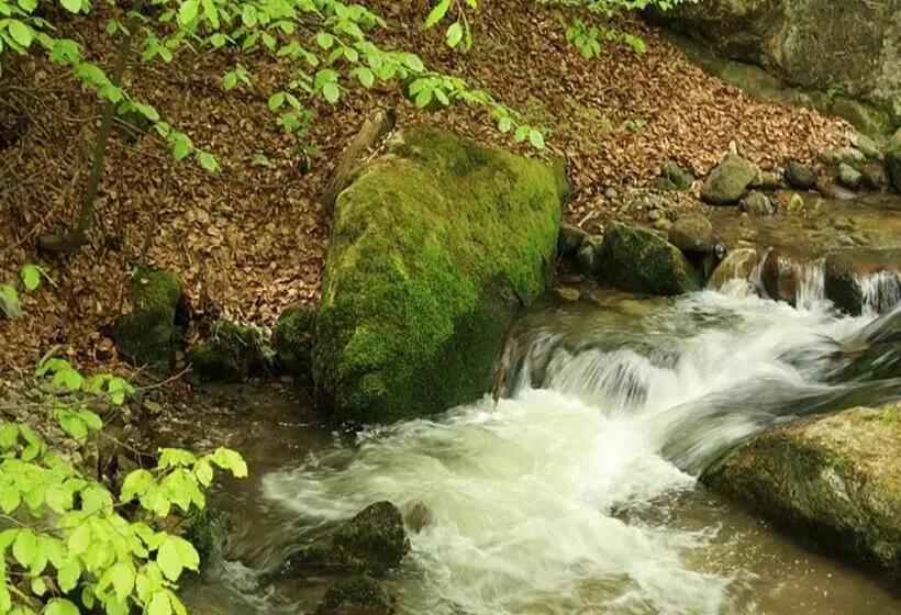 ペンション Family Hotel Valchanovata Kashta