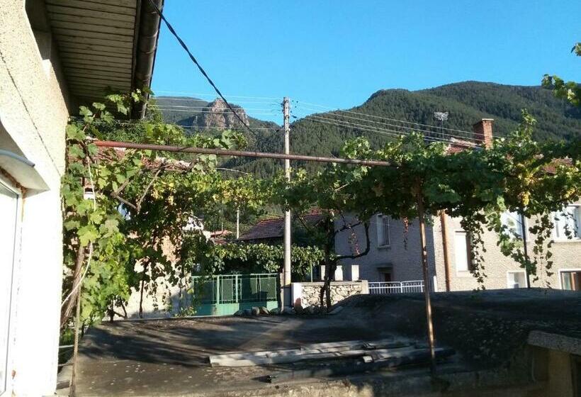 פנסיון Guest House Emiliya