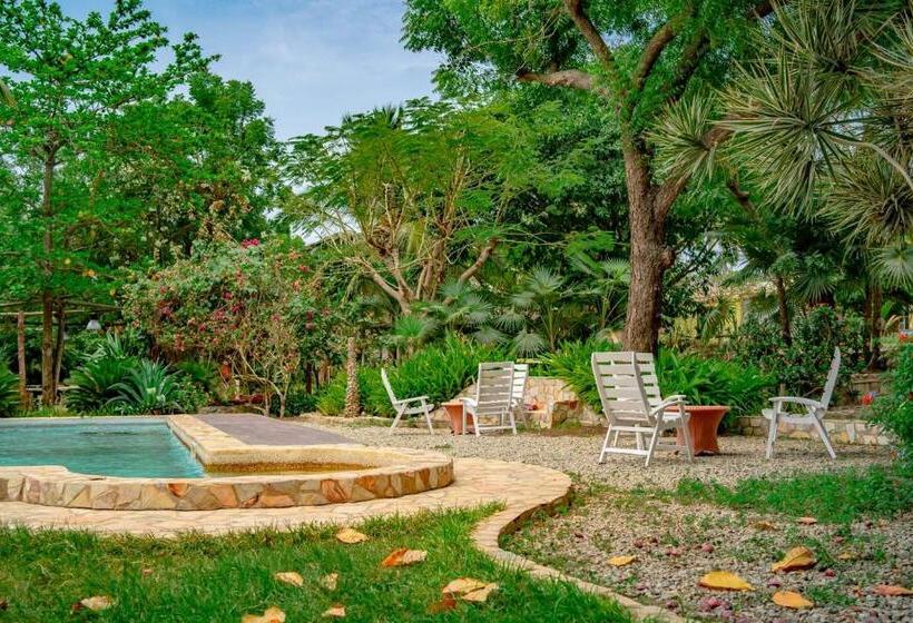 بنسيون Kokrobite Gardens Restaurant And Guest House