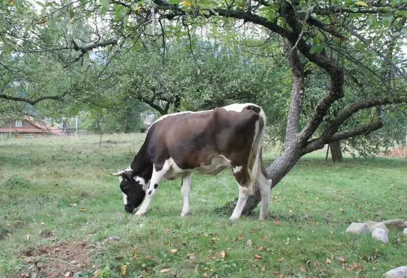 Majatalo Kremena