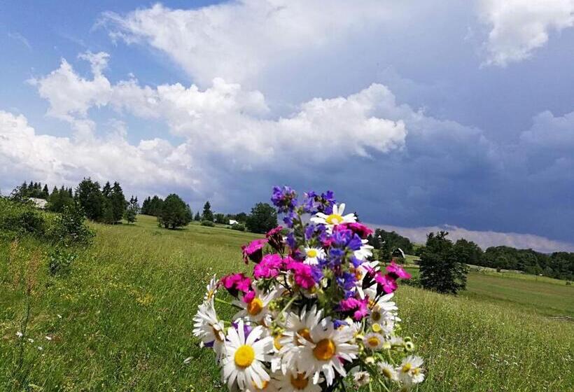 پانسیون Lörincz Vendégház