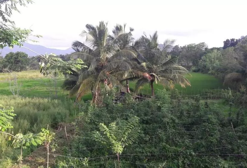 پانسیون Mount