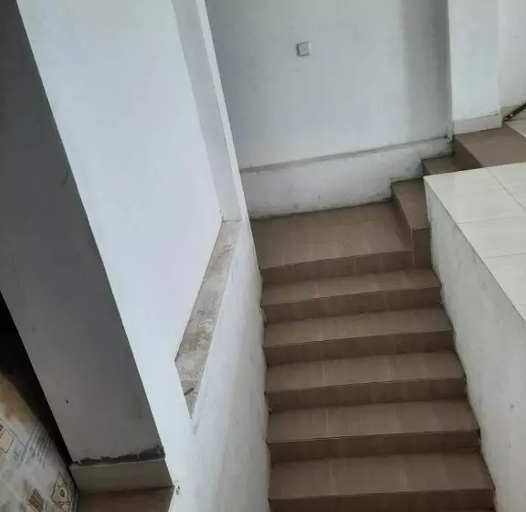 پانسیون Mount