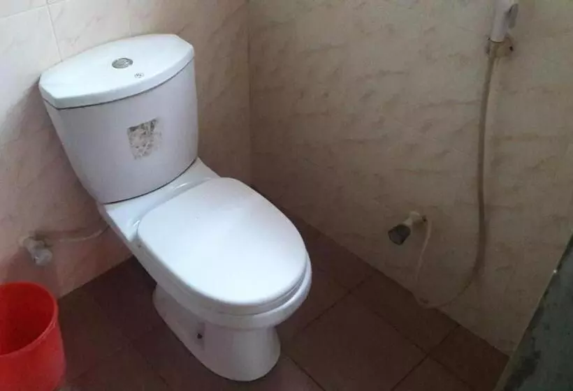 پانسیون Mount