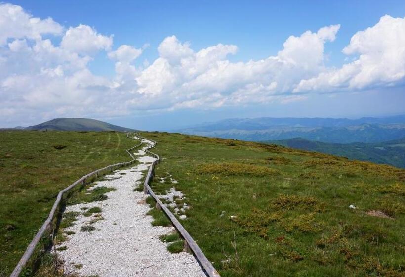 Пансион Pamir Guest House