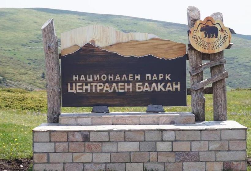 Пансион Pamir Guest House