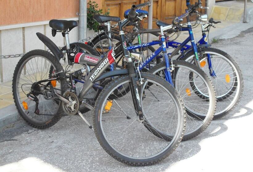 Пансион Pamir Guest House