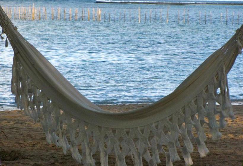 פנסיון Pousada Borapira