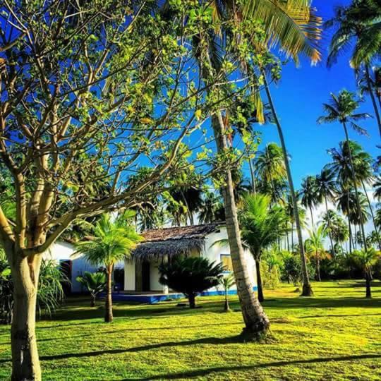 פנסיון Pousada Borapira