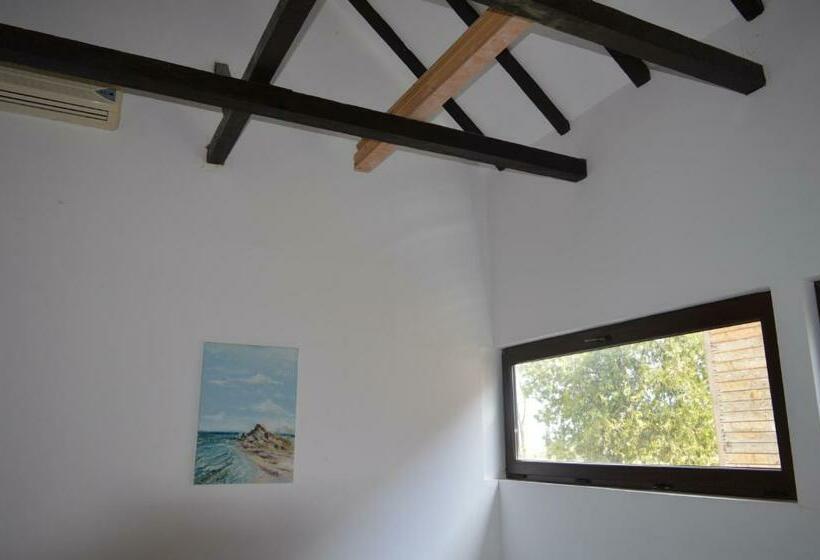 פנסיון Vadu Cazare