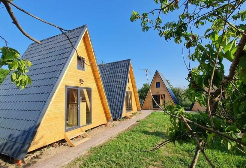 פנסיון Vadu Cazare