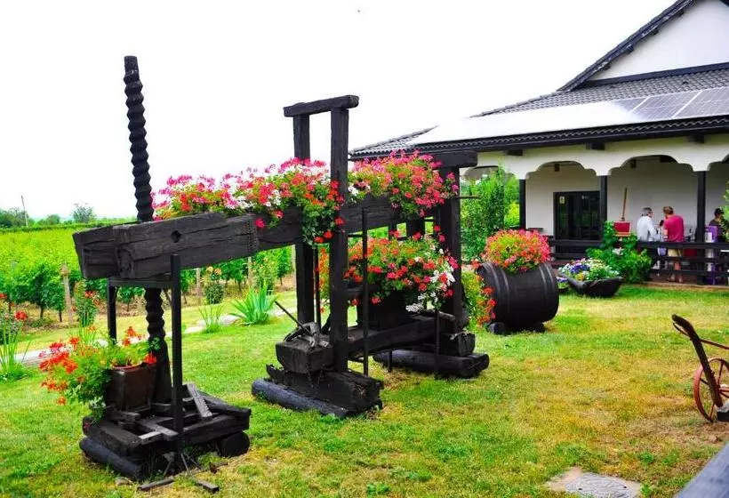 Majatalo Vinalia   Conacul Din Ceptura