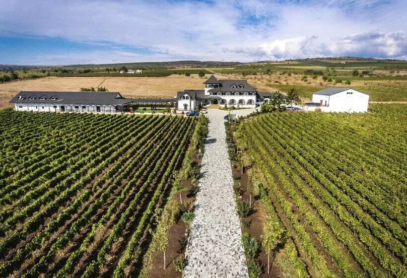 Majatalo Vinalia   Conacul Din Ceptura