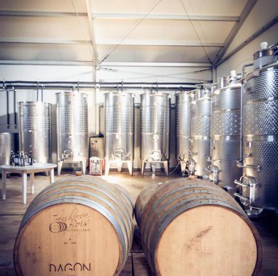 פנסיון Vinalia Conacul Din Ceptura