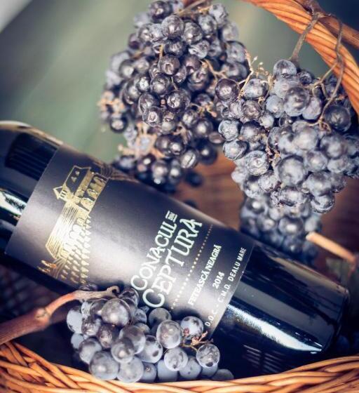 פנסיון Vinalia Conacul Din Ceptura