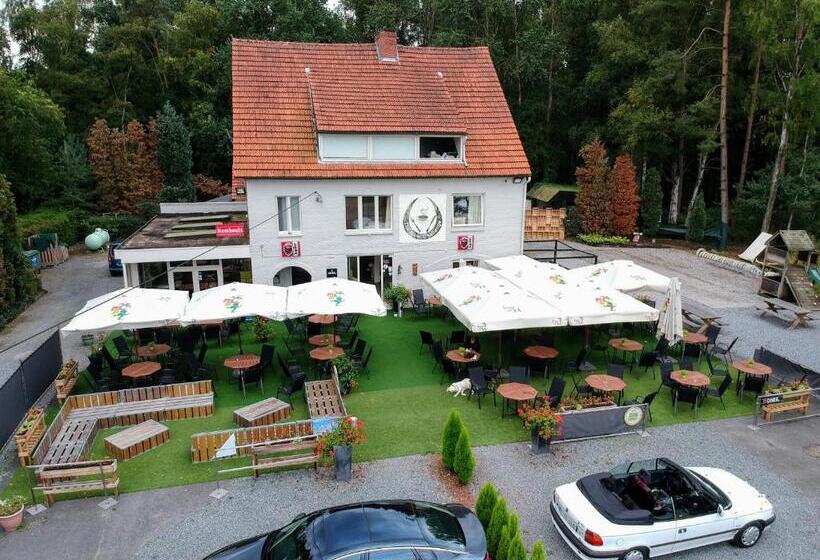 B&b The New Challenge