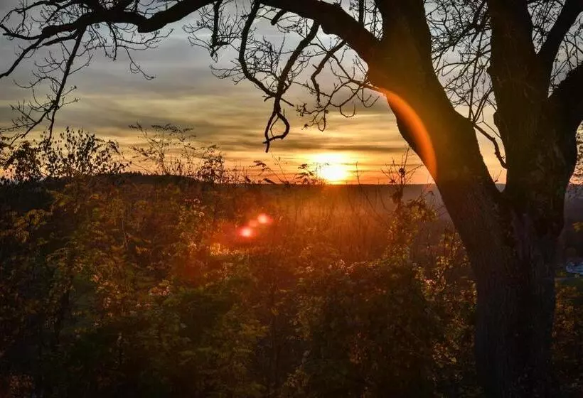 Aamiaismajoitus (B&B) Landgasthof Falken