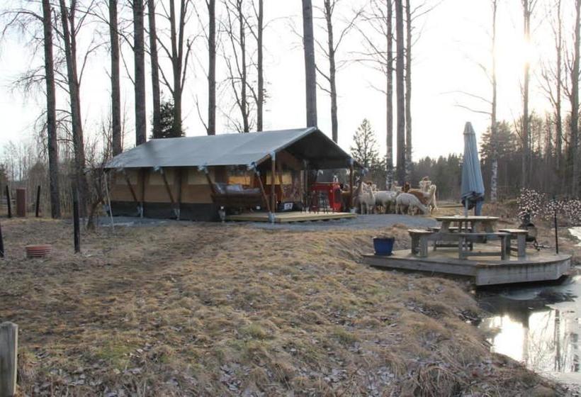 住宿加早餐 Norrängens Alpacka Det Lilla Boutiquehotellet Med En Fluffy Twist