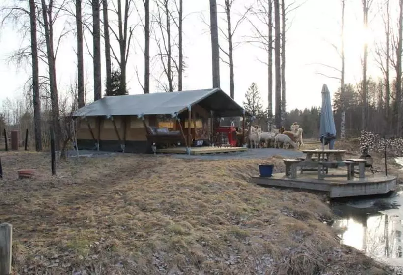 Aamiaismajoitus (B&B) Norrängens Alpacka   Det Lilla Boutiquehotellet Med En Fluffy Twist