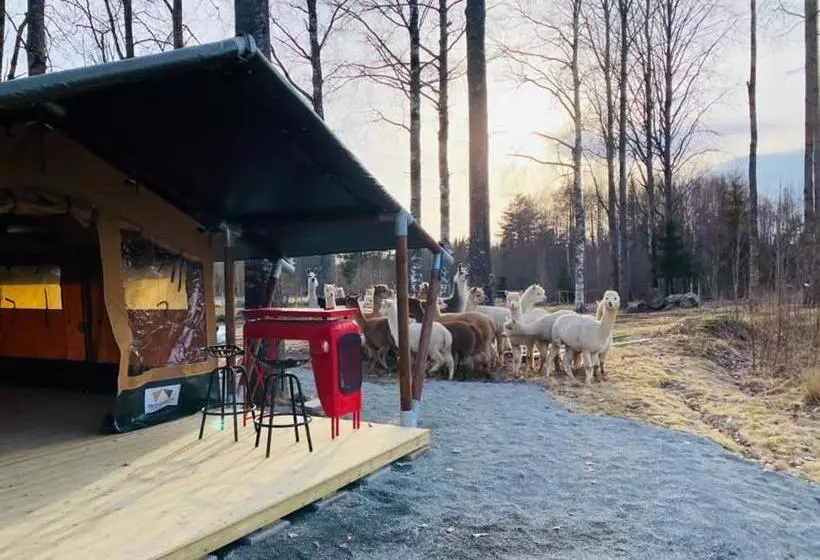 Aamiaismajoitus (B&B) Norrängens Alpacka   Det Lilla Boutiquehotellet Med En Fluffy Twist