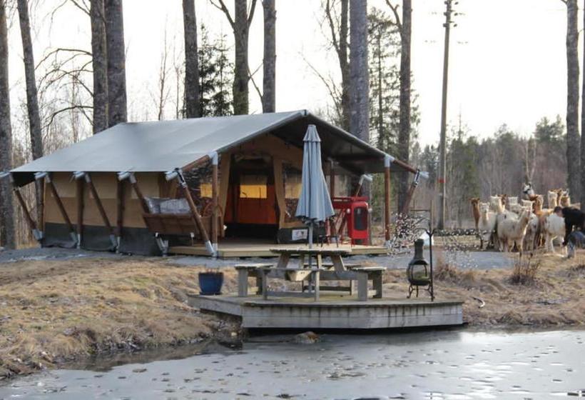 住宿加早餐 Norrängens Alpacka Det Lilla Boutiquehotellet Med En Fluffy Twist