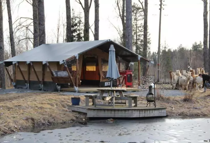 Aamiaismajoitus (B&B) Norrängens Alpacka   Det Lilla Boutiquehotellet Med En Fluffy Twist