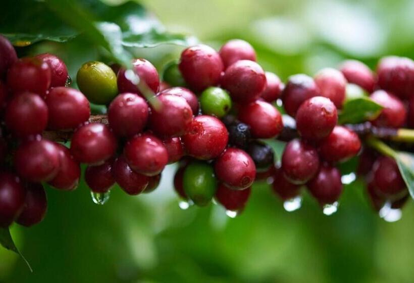 Hôtel Casa Do Lago Caparaó