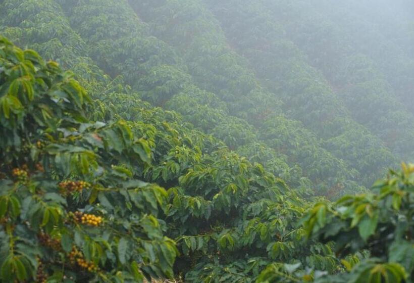 Hôtel Casa Do Lago Caparaó