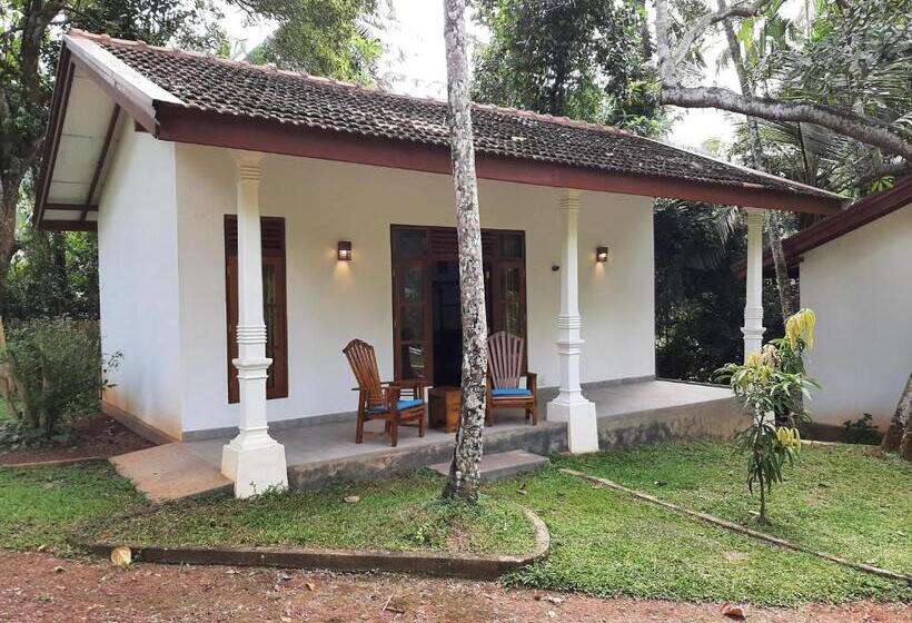 בית מלון כפרי Jackland Holiday Cabanas