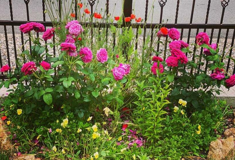 هتل Maison Platanus