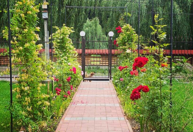 هتل Maison Platanus