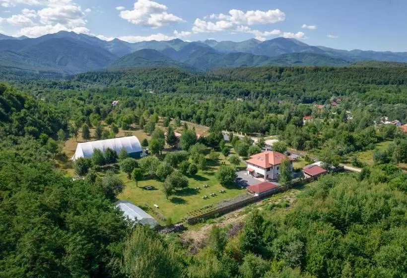 Hotelli Pensiunea Negoiu