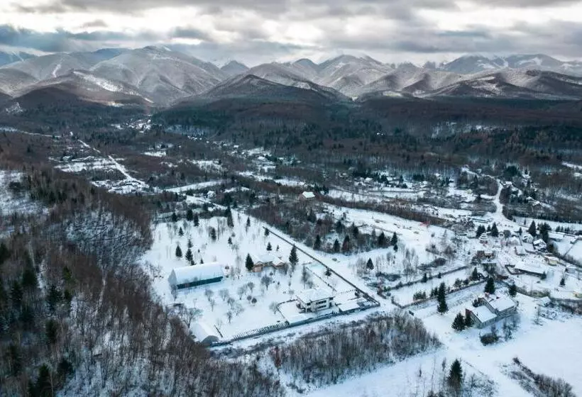 Hotelli Pensiunea Negoiu