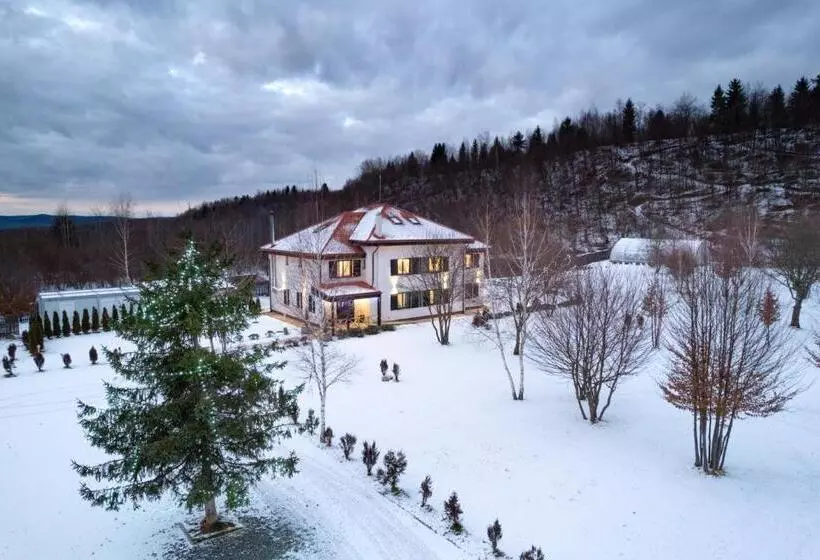 Hotelli Pensiunea Negoiu