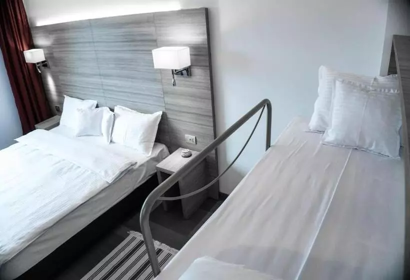 Hotelli Pensiunea Negoiu