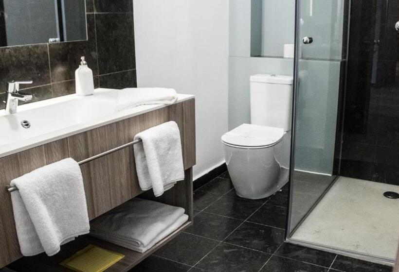 فندق Pensiunea Negoiu