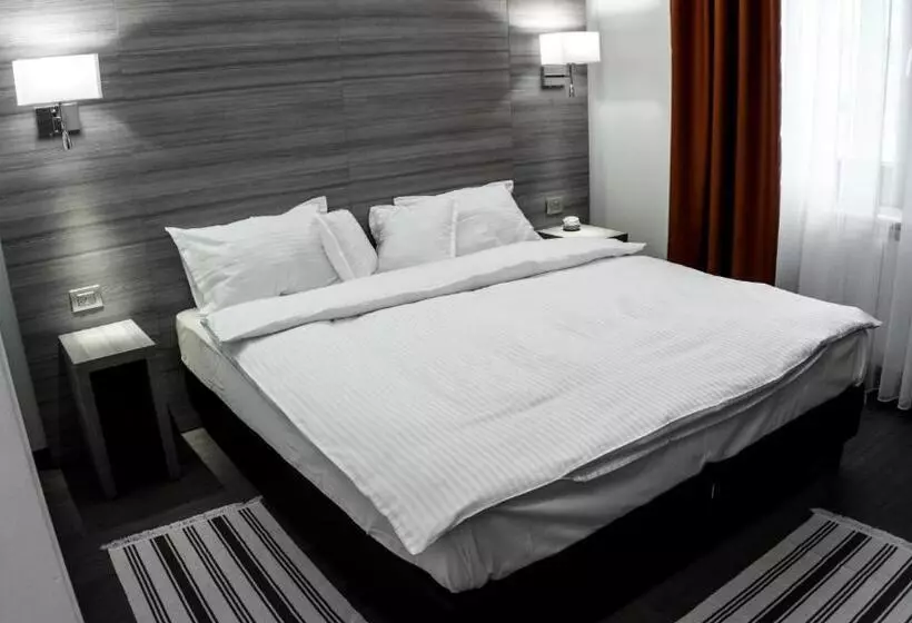 Hotelli Pensiunea Negoiu